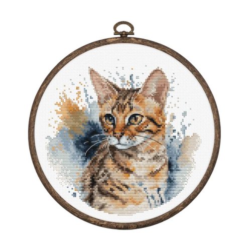 (image for) The Bengal Cat w/Hoop